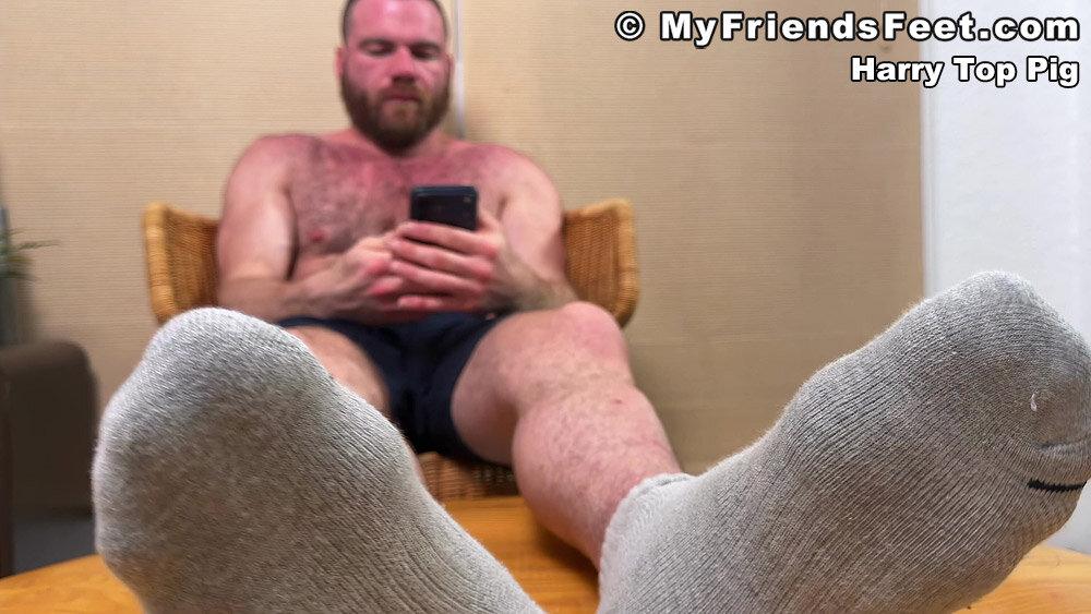 Harry Top Pig's Feet